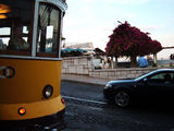 n�doba